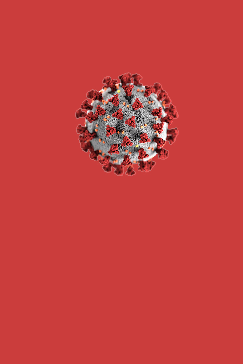 Herd Immunity or Abandoned Flock?